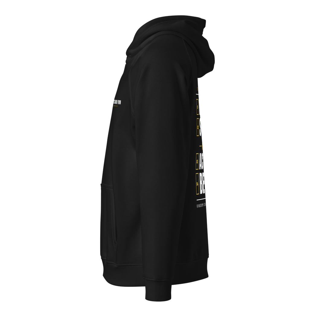 Stand Firm Four Commands Raglan Hoodie