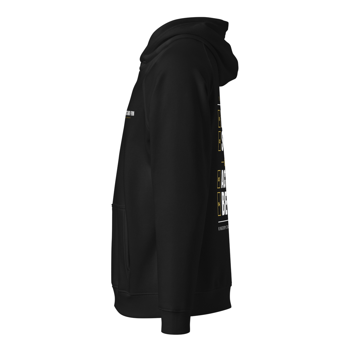 Stand Firm Four Commands Raglan Hoodie