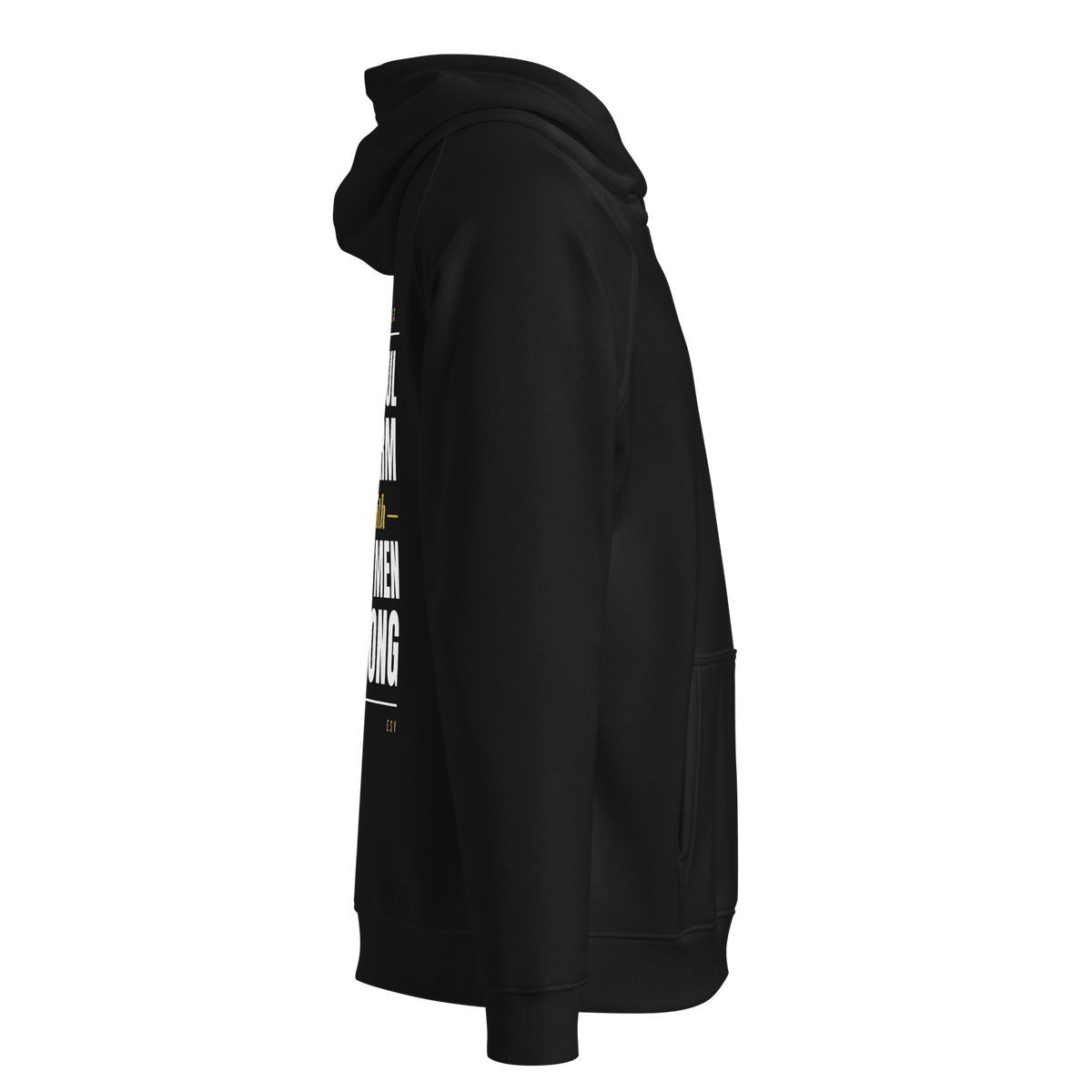 Stand Firm Four Commands Raglan Hoodie